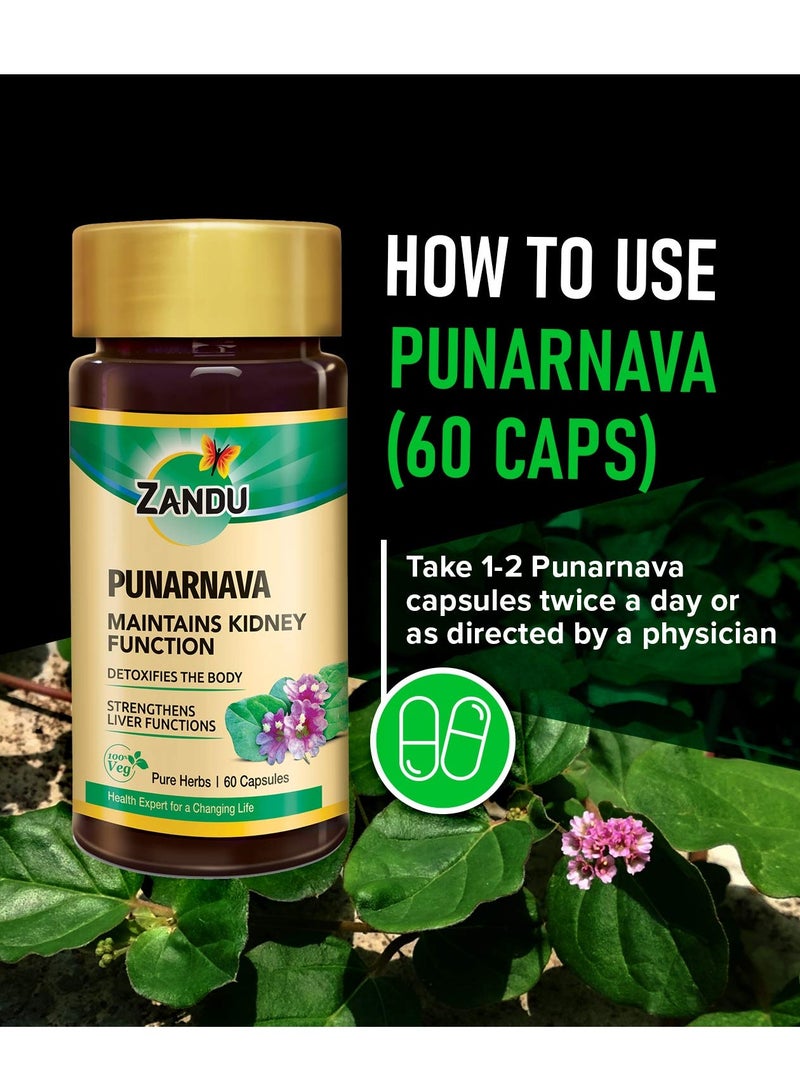 Zandu Capsules With Goodness of Natural Punarnava Extract known for Good Gut Health and for Healthy Appetite 60 Veg capsules - Image 5