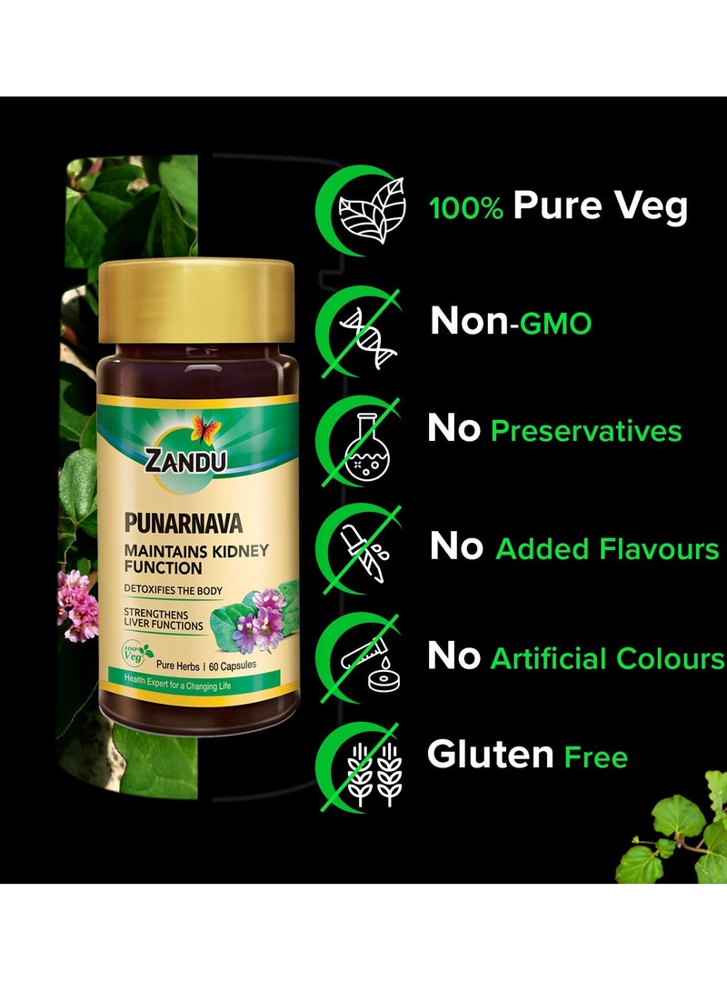 Zandu Capsules With Goodness of Natural Punarnava Extract known for Good Gut Health and for Healthy Appetite 60 Veg capsules - Image 4