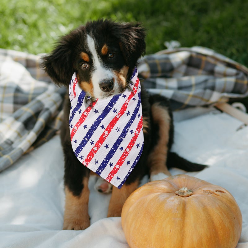 2Pcs Pet Handkerchief Independence Day Pet Triangle Towels Festival Pet Supplies - Image 3