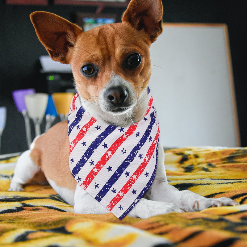 2Pcs Pet Handkerchief Independence Day Pet Triangle Towels Festival Pet Supplies - Image 1