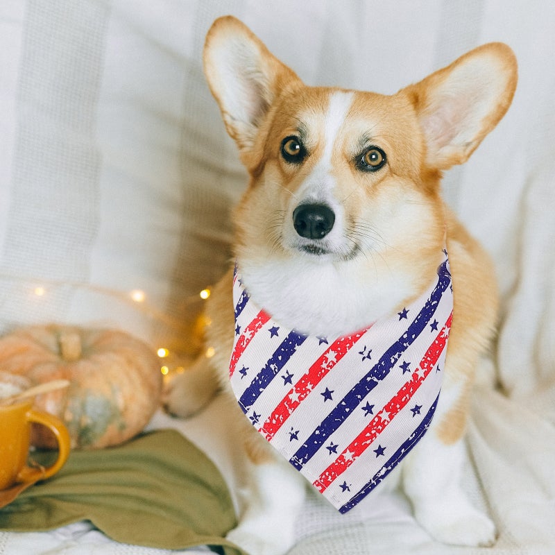 2Pcs Pet Handkerchief Independence Day Pet Triangle Towels Festival Pet Supplies - Image 4
