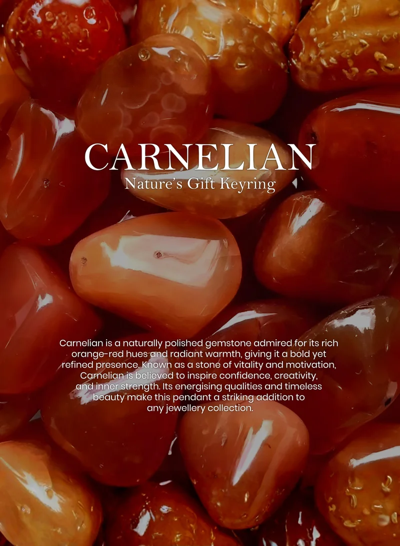 British Fossils ميدالية مفاتيح هدية الطبيعة بالكارنيليان