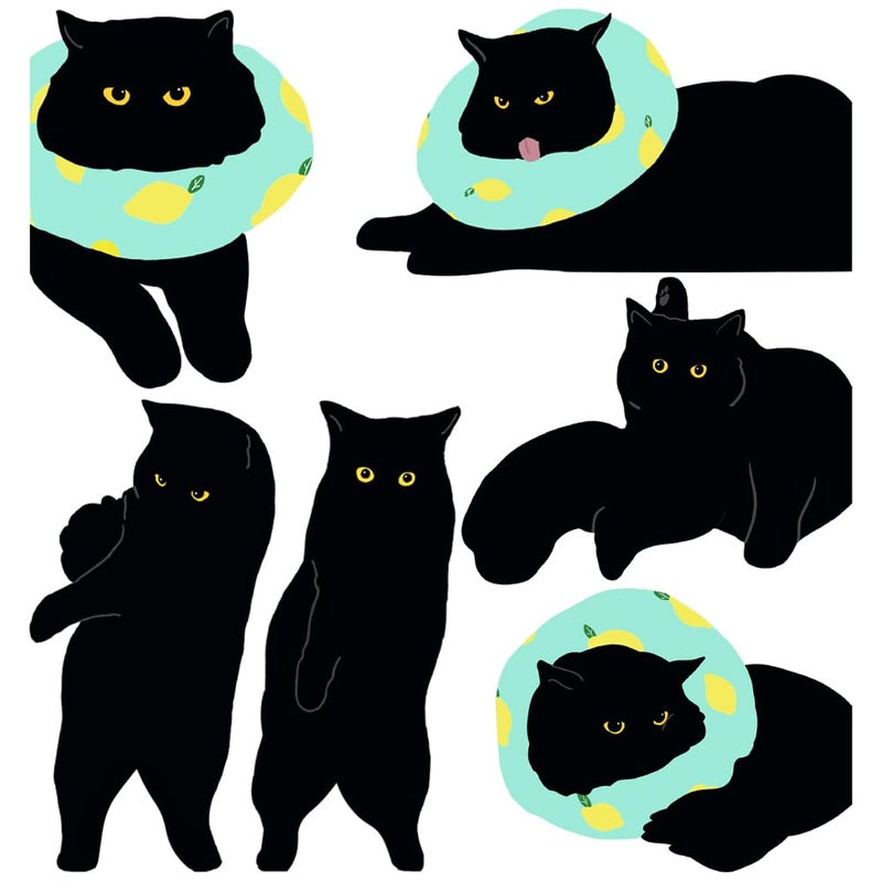 yasest Magnetic Bookmarks - 6 Pieces Assorted Cute Book Markers Clip Set for Teachers Students Book Lovers Reading, for School Office Home Supplies, Kawaii Cat Magnet Page Markers - Image 1