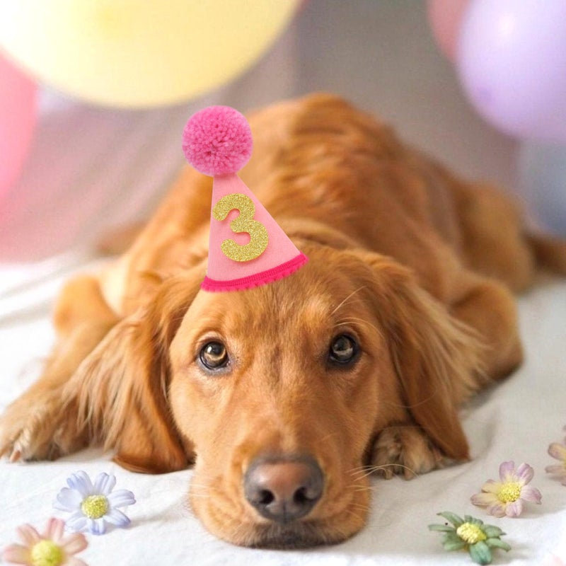 LINGANA Pet Birthday Hat with Interchangeable Numbers 1-10 | Adjustable Pet Party Cone Hat for Dogs & Cats | Puppy Birthday Photo Props for 1st to 10th Birthday Celebrations (Pink Birthday Pet Hat) - Image 5