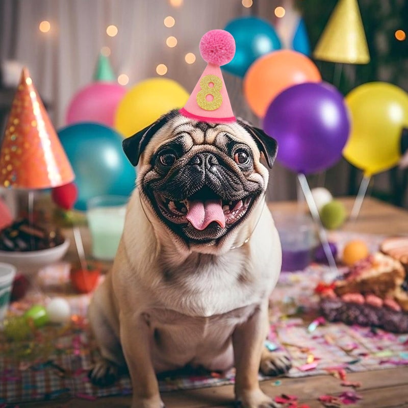 LINGANA Pet Birthday Hat with Interchangeable Numbers 1-10 | Adjustable Pet Party Cone Hat for Dogs & Cats | Puppy Birthday Photo Props for 1st to 10th Birthday Celebrations (Pink Birthday Pet Hat) - Image 4