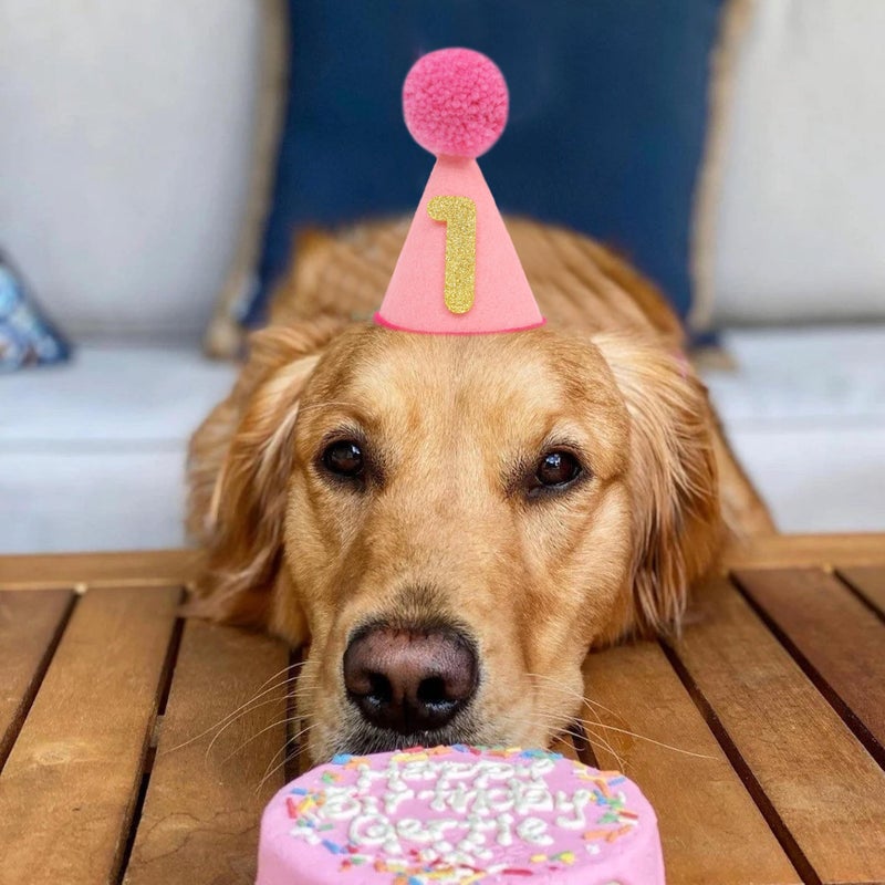 LINGANA Pet Birthday Hat with Interchangeable Numbers 1-10 | Adjustable Pet Party Cone Hat for Dogs & Cats | Puppy Birthday Photo Props for 1st to 10th Birthday Celebrations (Pink Birthday Pet Hat) - Image 3