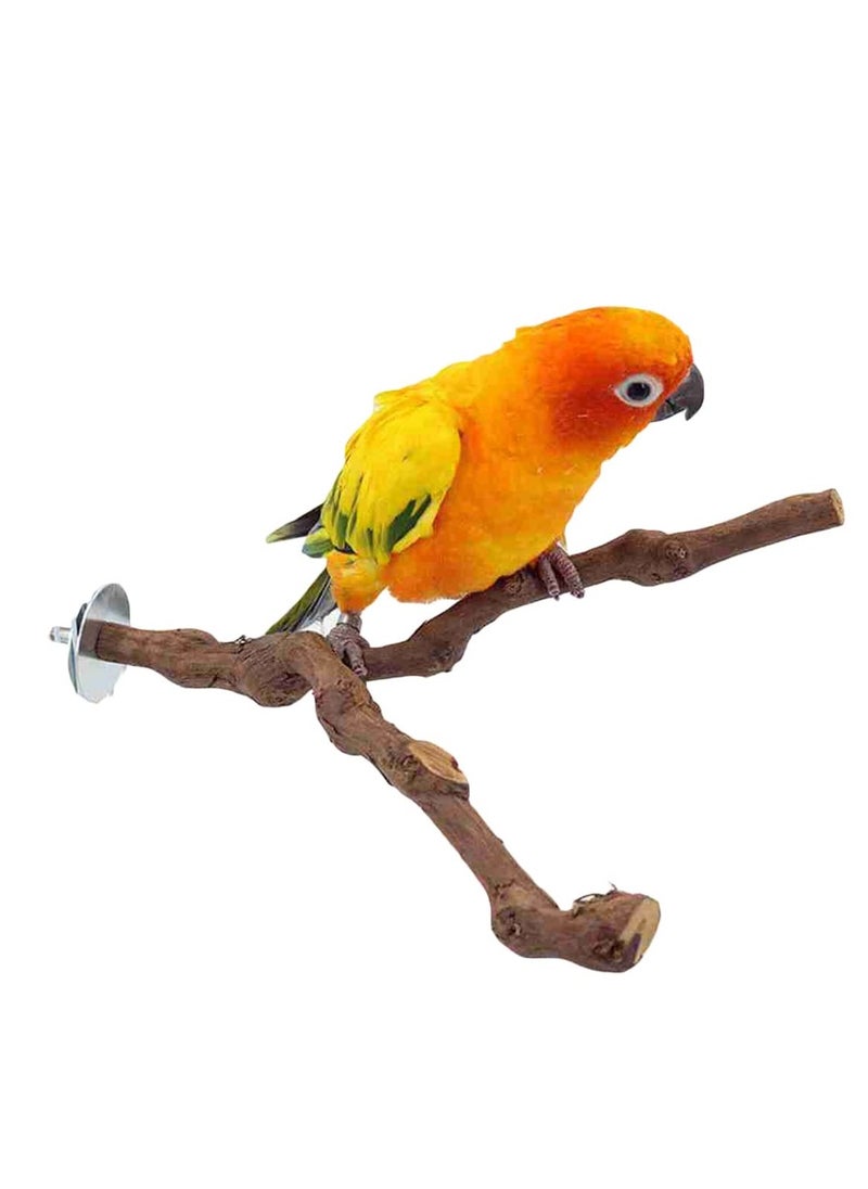 XICEN - Parrot Natural Standing Wood Stick ,bird stands - Image 1