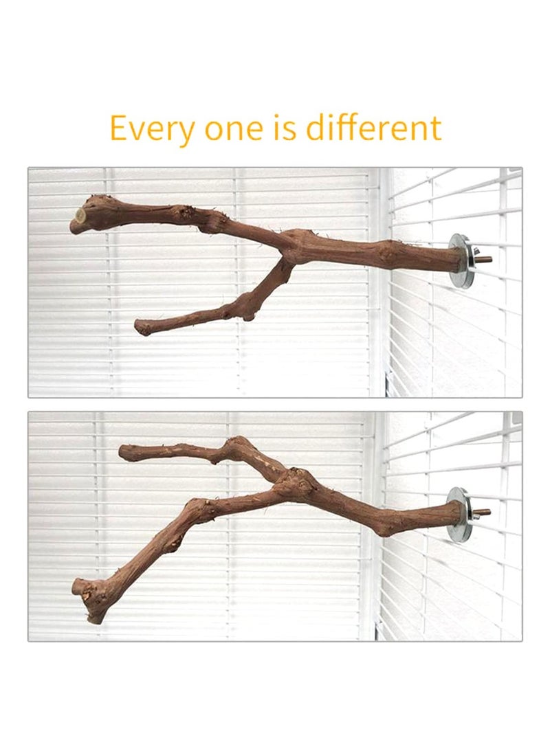 XICEN - Parrot Natural Standing Wood Stick ,bird stands - Image 1