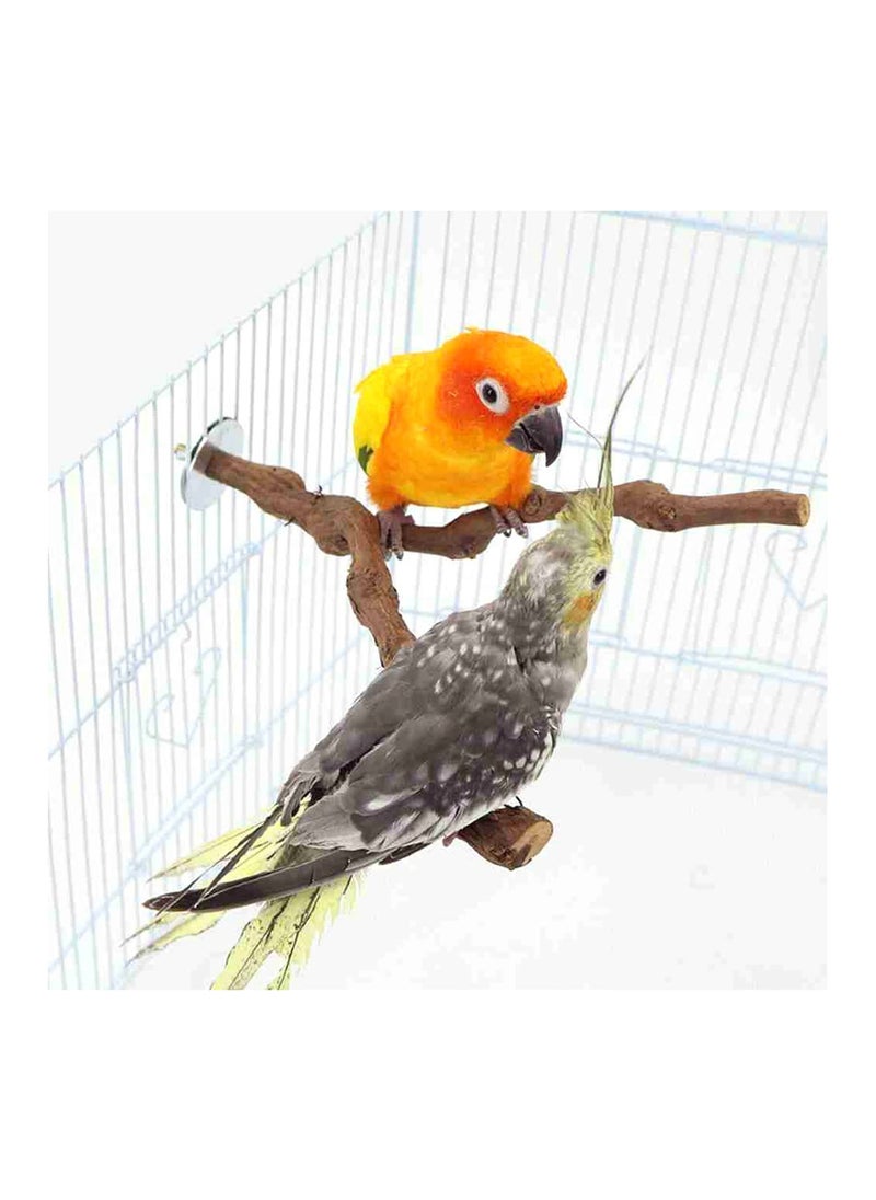XICEN - Parrot Natural Standing Wood Stick ,bird stands - Image 1