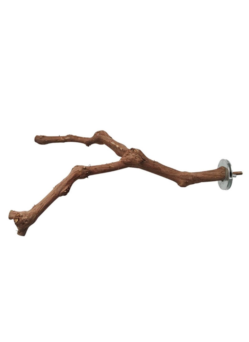 XICEN - Parrot Natural Standing Wood Stick ,bird stands - Image 1