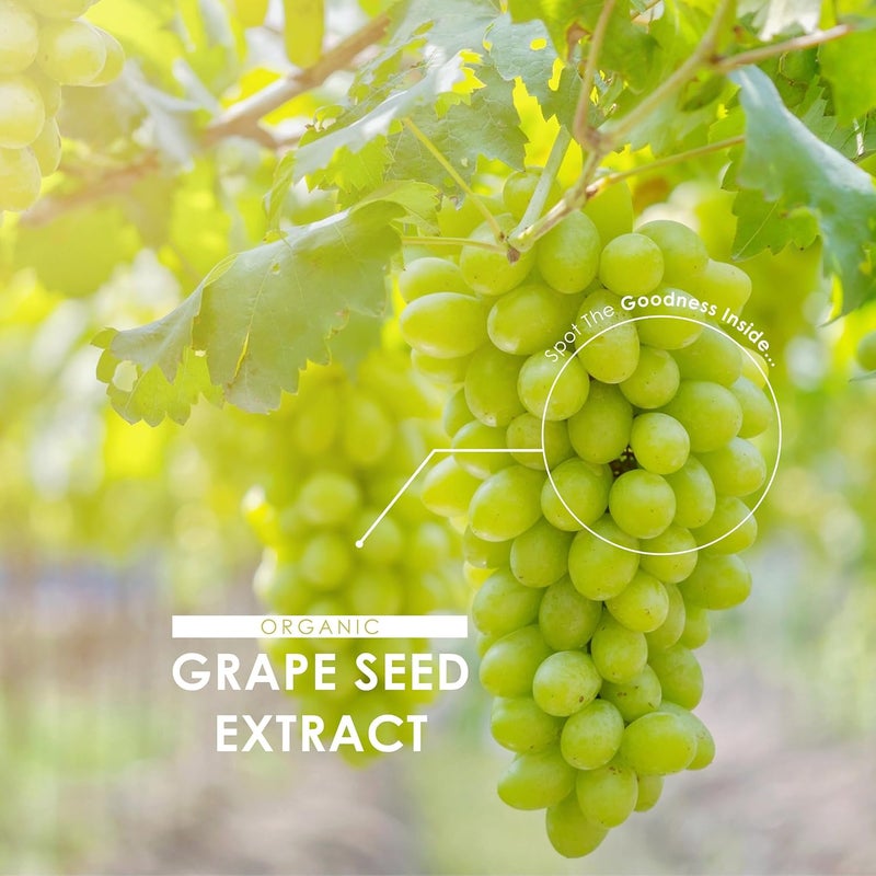 ALPHA01 Organic Grapeseed Extract 20,000mg - High Strength 50:1 Extract - 90 Vegan Capsules (3 Months Supply) - Resealable and Recyclable Pouch - by Alpha01 - Image 4