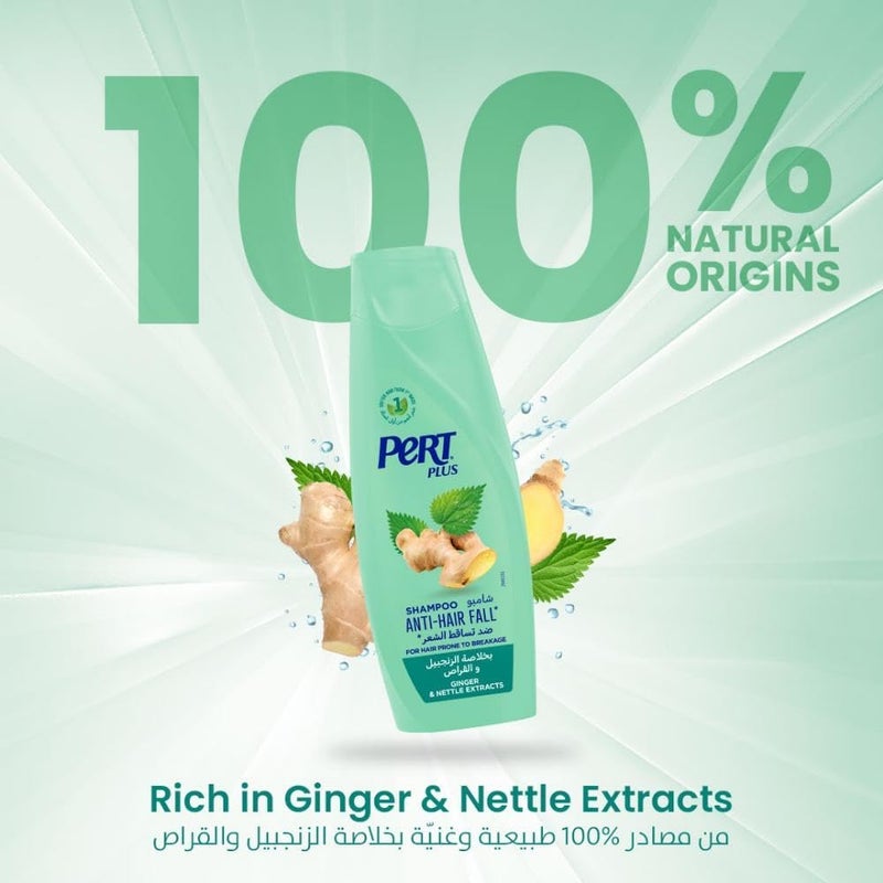 Pert Plus Shampoo With Ginger For Anti-Hair Fall, 400 ml - Image 2