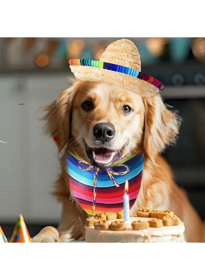 LAVENTY Vibrant Sombrero Pet Hat Adjustable Sun Hat For Small Medium Dogs Cats Set 2 - Image 2