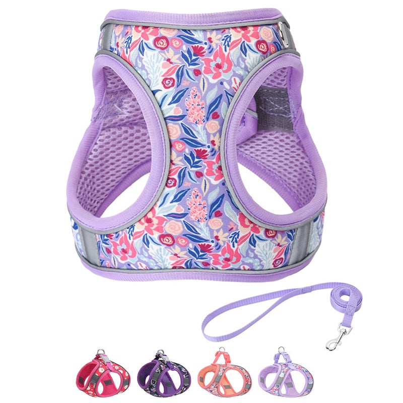 Flymind Step in Dog Harness and Leash Set, Flower Adjustable Easy Walk Puppy Harnesses, Soft Mesh Pet Vest Harness Small Size Dog Adjustable No Pull Dog Harness for Small Dogs(Lightpurple, M) - Image 1