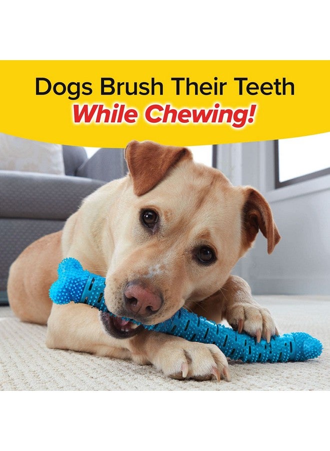 BulbHead BrushBone As Seen On TV Doggy Toothbrush Chew Toy 3 Pack, Plaque & Tartar Remover, Works 3 Ways to Clean While They Play, Invented by a Dentist, Add Peanut Butter or Cheese, Brush Bone - Image 2