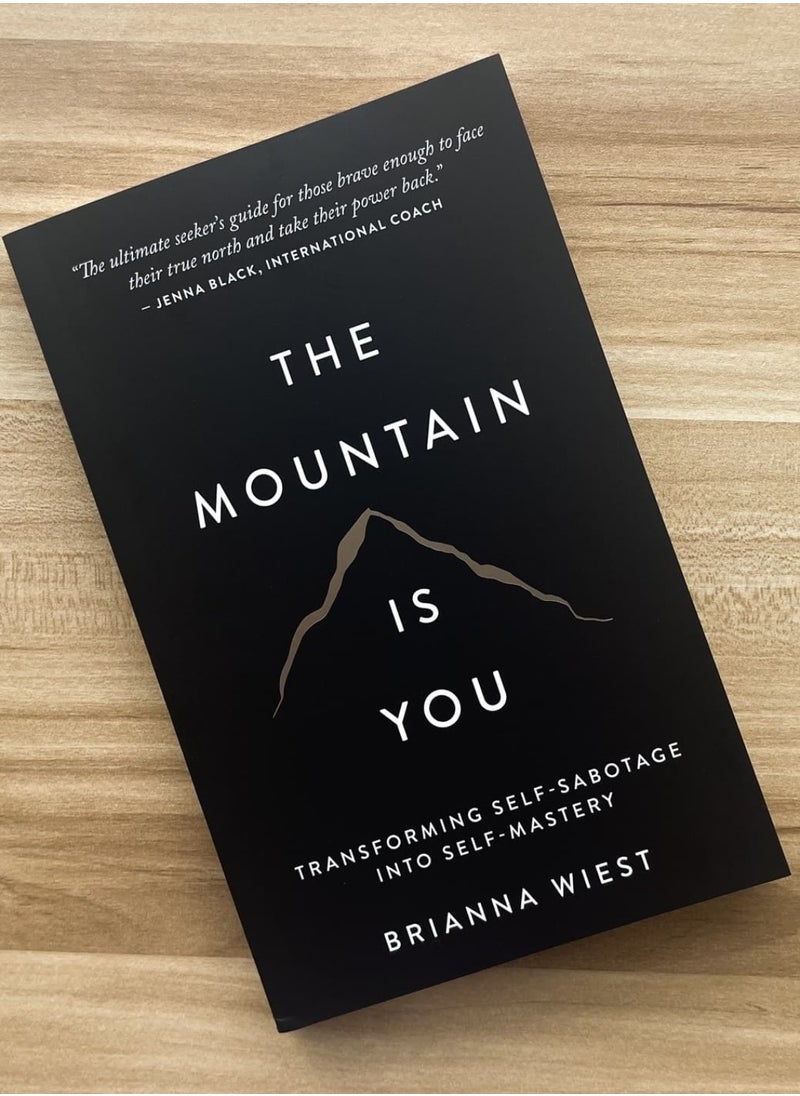 null - The Mountain Is You: Transforming Self-Sabotage Into Self-Mastery - Image 1