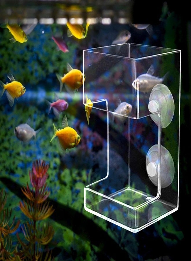 Leefasy Fish Feeder Acrylic Worm Feeder Artemia Clear Floating Fish Tank Dish Tray Shrimp Feeder Dwarf Shrimp Golden Fish Betta Fish, Cuboid - Image 3