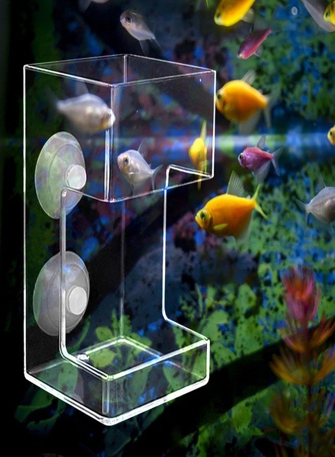 Leefasy Fish Feeder Acrylic Worm Feeder Artemia Clear Floating Fish Tank Dish Tray Shrimp Feeder Dwarf Shrimp Golden Fish Betta Fish, Cuboid - Image 4