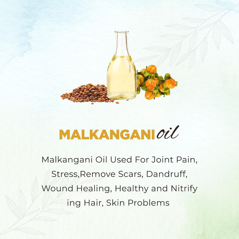 Vedcare Pure Malkangani JyotishmatiCelastrus Paniculatus Hair Oil 250ml - Image 5