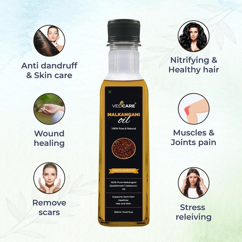 Vedcare Pure Malkangani JyotishmatiCelastrus Paniculatus Hair Oil 250ml - Image 4