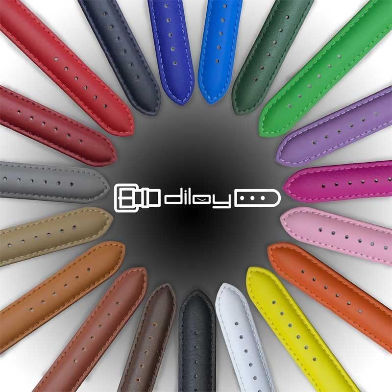 diloy Smooth Cowhide Leather Watch Strap 26 mm 28 mm 30 mm 32 mm 34 mm 36 mm 38 mm 40 mm Ref 302EA - Image 2