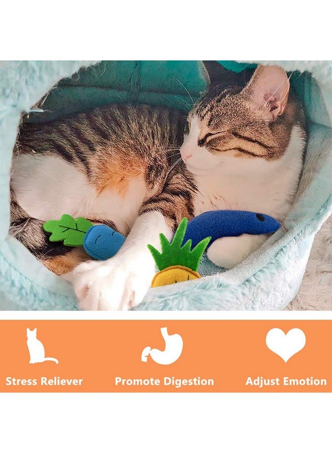 AWOOF Catnip Toys for Indoor Cats, 6 Pack Cat Chew Toys Plush Interactive Cat Kicker Toy for Indoor Kitten Exercise for All Breeds - Image 4