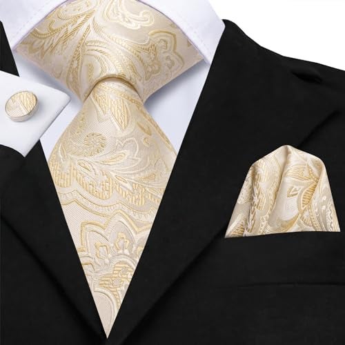 Dubulle Mens Champange Paisley Floral Silk Tie for Men Striped Necktie and Pocket Square Cufflinks Set Wedding Business - Image 2