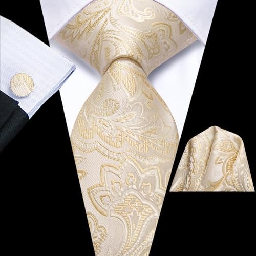 Dubulle Mens Champange Paisley Floral Silk Tie for Men Striped Necktie and Pocket Square Cufflinks Set Wedding Business - Image 3