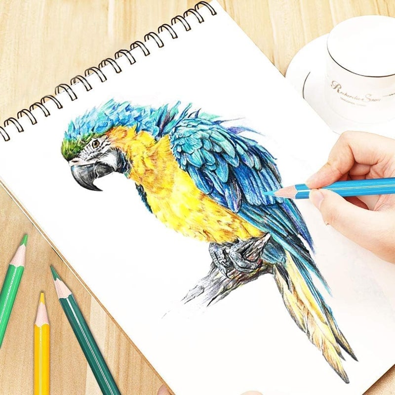 Corslet طقم أقلام تلوين زيتية 48 قطعة - مستلزمات فنية - طقم أقلام فنية - طقم رسم - أقلام تلوين للطلاب والبالغين والفنانين - أقلام ملونة متعددة الألوان - Image 5