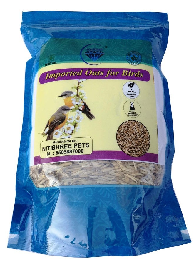 بذور الشوفان الممتازة المستوردة من نيتيشري، مناسبة لجميع مراحل حياة الطيور (500 غرام)، طعام مثالي للعصافير، والببغاوات الأسترالية، والكونيور، وطيور الحب، والكوكاتيل، والببغاء الرمادي الأفريقي، والمكاو، والكوكاتو. - Image 2