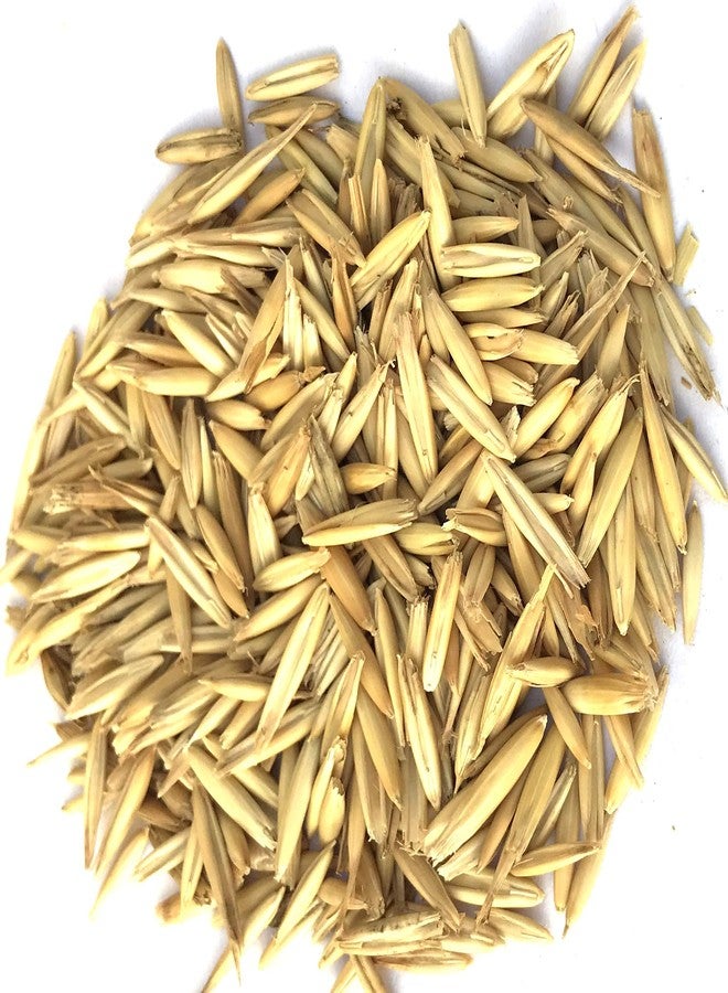 بذور الشوفان الممتازة المستوردة من نيتيشري، مناسبة لجميع مراحل حياة الطيور (500 غرام)، طعام مثالي للعصافير، والببغاوات الأسترالية، والكونيور، وطيور الحب، والكوكاتيل، والببغاء الرمادي الأفريقي، والمكاو، والكوكاتو. - Image 5