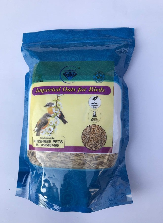 بذور الشوفان الممتازة المستوردة من نيتيشري، مناسبة لجميع مراحل حياة الطيور (500 غرام)، طعام مثالي للعصافير، والببغاوات الأسترالية، والكونيور، وطيور الحب، والكوكاتيل، والببغاء الرمادي الأفريقي، والمكاو، والكوكاتو. - Image 4