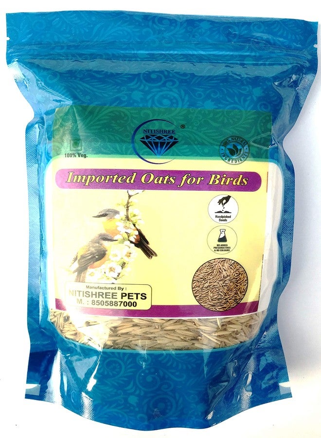 بذور الشوفان الممتازة المستوردة من نيتيشري، مناسبة لجميع مراحل حياة الطيور (500 غرام)، طعام مثالي للعصافير، والببغاوات الأسترالية، والكونيور، وطيور الحب، والكوكاتيل، والببغاء الرمادي الأفريقي، والمكاو، والكوكاتو. - Image 3