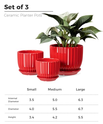 Ton Sin Ceramic Plant Pots - 4/5/6 Inch Red Planters Set of 3 with Drainage Holes and Saucer - Indoor Flower Pots for Plants Ceramic Planters for Indoor Gardening Succulent Pots - Image 3