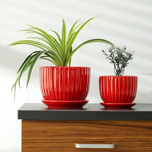 Ton Sin Ceramic Plant Pots - 4/5/6 Inch Red Planters Set of 3 with Drainage Holes and Saucer - Indoor Flower Pots for Plants Ceramic Planters for Indoor Gardening Succulent Pots - Image 5
