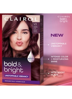 CLAIROL Bold & Bright Permanent Hair Dye 28 Wild Blackberry Hair Color Pack Of 1  - Image 4