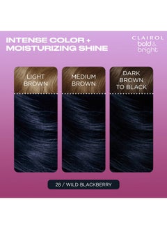 CLAIROL Bold & Bright Permanent Hair Dye 28 Wild Blackberry Hair Color Pack Of 1  - Image 3