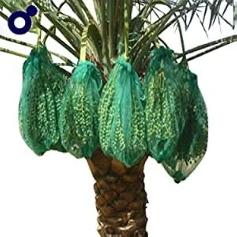 Mono Date Palm Tree Net Bag PE Mesh Date Bags - 25pcs (90cm x 70cm) for Garden Care - Image 1