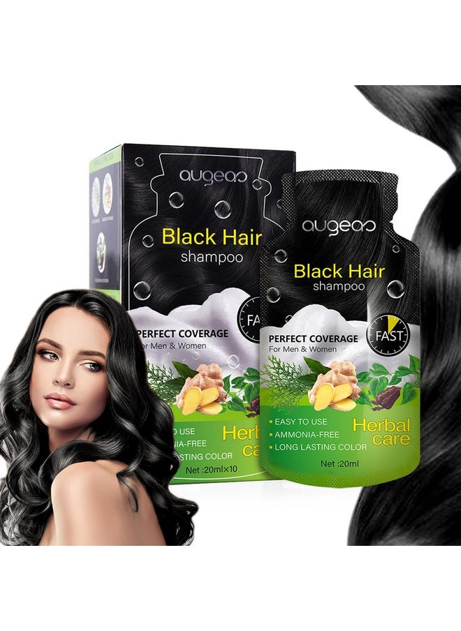 Dapoprren Bubble Plant Hair Dyenatural Plant Hair Dyenew Botanical Natural Plant Hair Dye For Grey Hairfruitcolor Hair Dyeing Cream Natural Plant Hair Dye Shampoo For Women Men (Black)  - Image 1