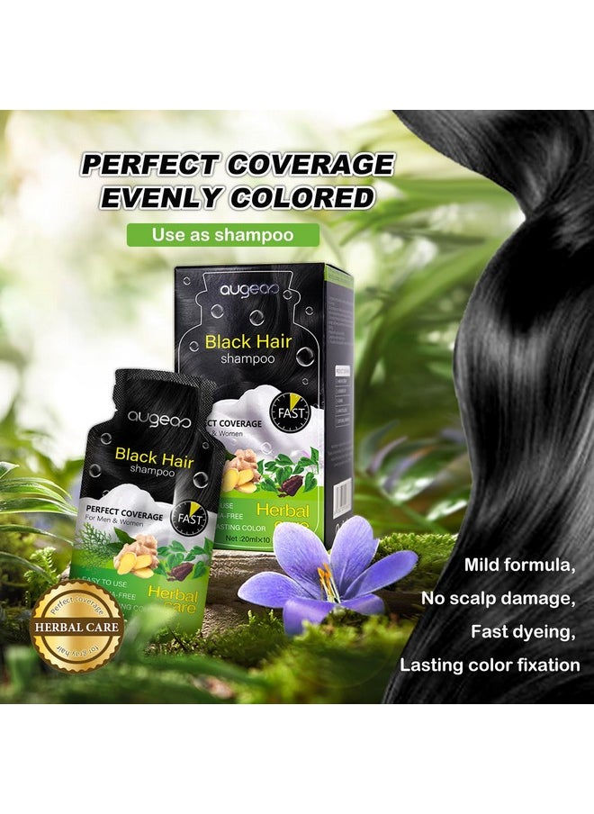 Dapoprren Bubble Plant Hair Dyenatural Plant Hair Dyenew Botanical Natural Plant Hair Dye For Grey Hairfruitcolor Hair Dyeing Cream Natural Plant Hair Dye Shampoo For Women Men (Black)  - Image 2
