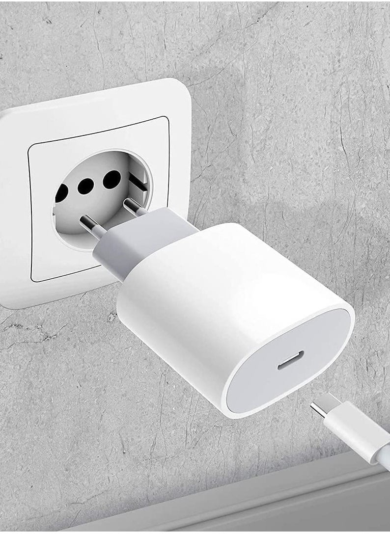 Generic - Apple Iphone 13 Pro Max Dual Charger With Type C Port 20W - Image 1