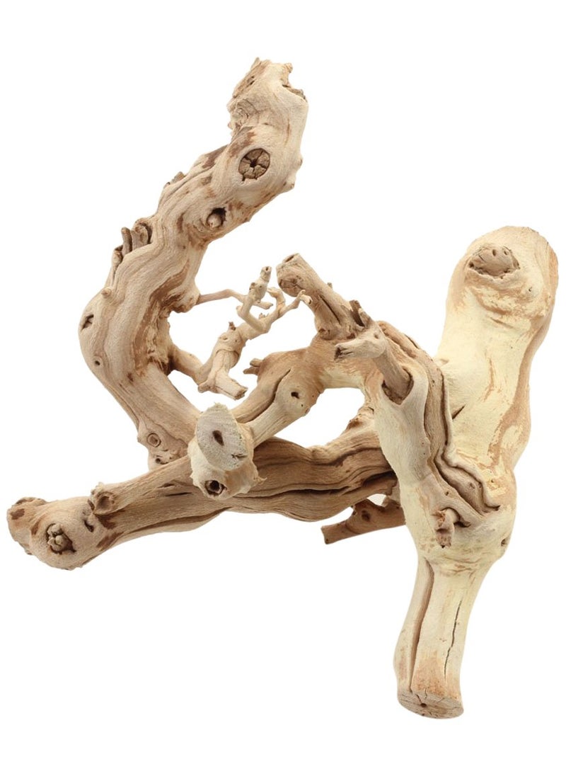 Koyal Wholesale Koyal Wholesale Grapewood Branch 12Inch 