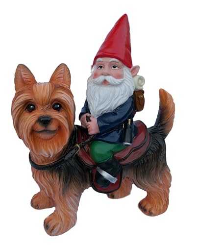 Funny Guy Mugs Gnome Riding A Yorkshire Terrior Statue  Indoor or Outdoor Garden Gnome Sculpture for Patio Yard or Lawn  Yorkie Statue