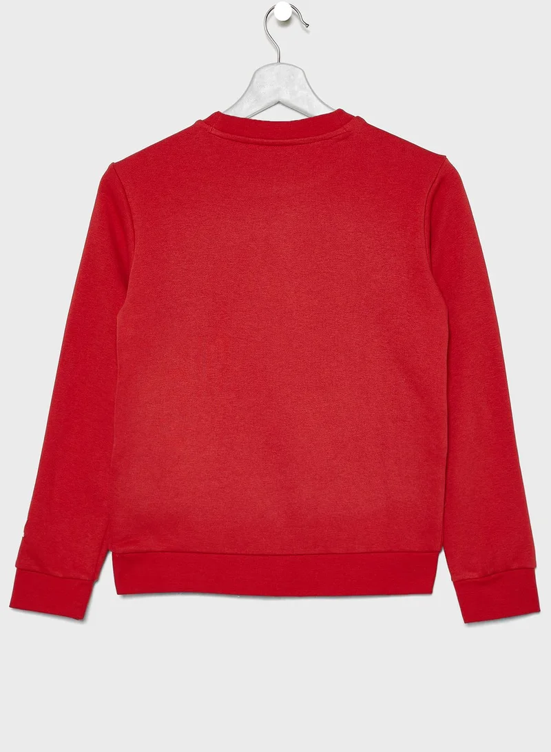 adidas Originals Youth Big Trefoil Sweatshirt
