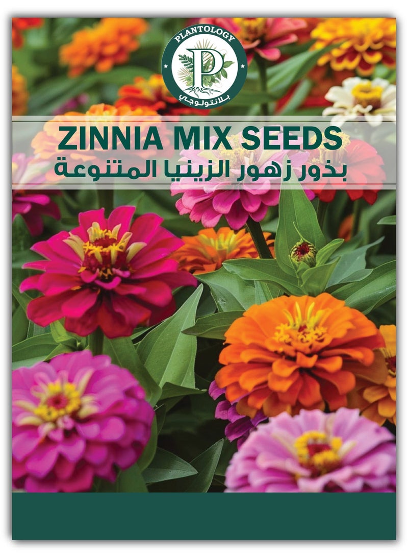 بذور زهرة الزينيا - بذور زهور للزراعة - بذور زهور متنوعة لزراعة المناظر الطبيعية - Image 1