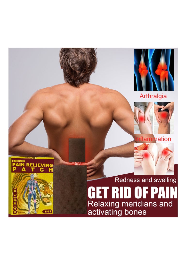 SOUTH MOON Pain Relieving Patch for Relieve Sore Joints,Muscles and Joints - Image 1