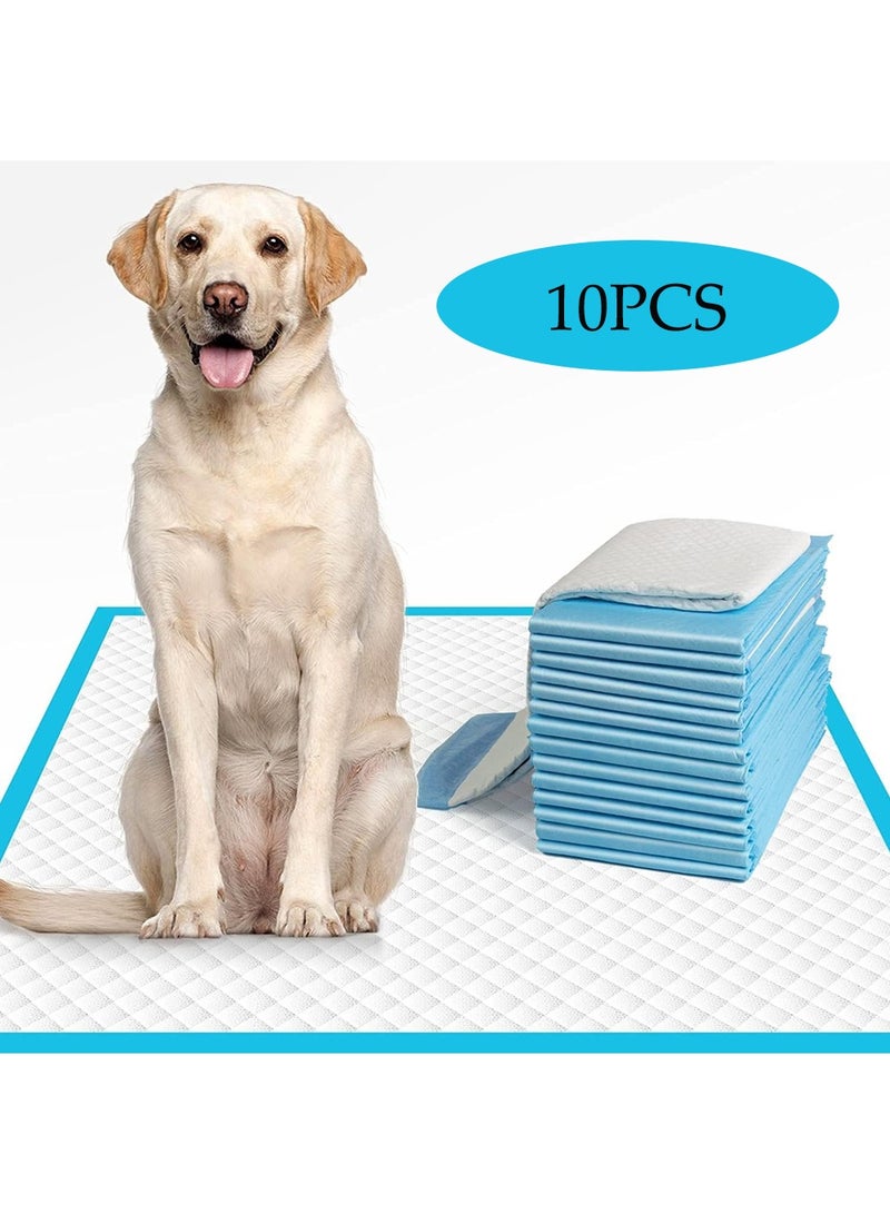 Dougez 10 Pack Disposable UnderPads for Baby Adult Pet, Incontinence Bed Pads 90x60, Leak Protection Waterproof Baby Diaper Changing Pad,Bedwetting Incontinence Furniture Waterproof Pets Pee Pads - Image 1