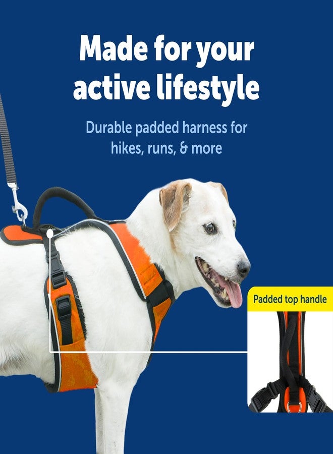 بيت سيف سرج PetSafe EasySport للكلاب، سرج مبطن قابل للتعديل مع مقبض تحكم وحواف عاكسة، صغير، برتقالي - Image 3