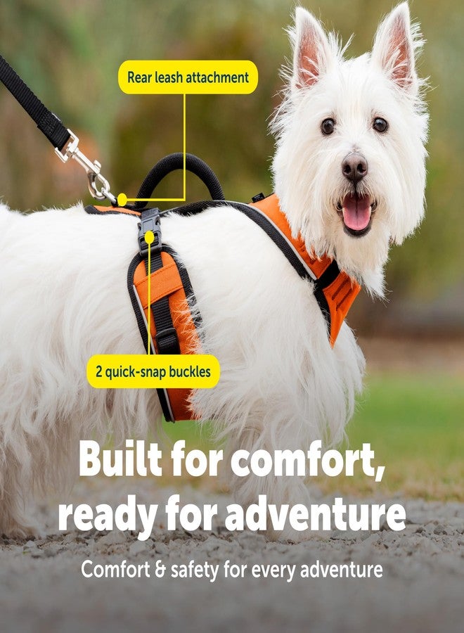 بيت سيف سرج PetSafe EasySport للكلاب، سرج مبطن قابل للتعديل مع مقبض تحكم وحواف عاكسة، صغير، برتقالي - Image 4