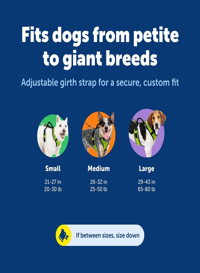 بيت سيف سرج PetSafe EasySport للكلاب، سرج مبطن قابل للتعديل مع مقبض تحكم وحواف عاكسة، صغير، برتقالي - Image 5